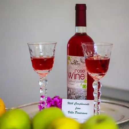 Apartment Panorama Keri